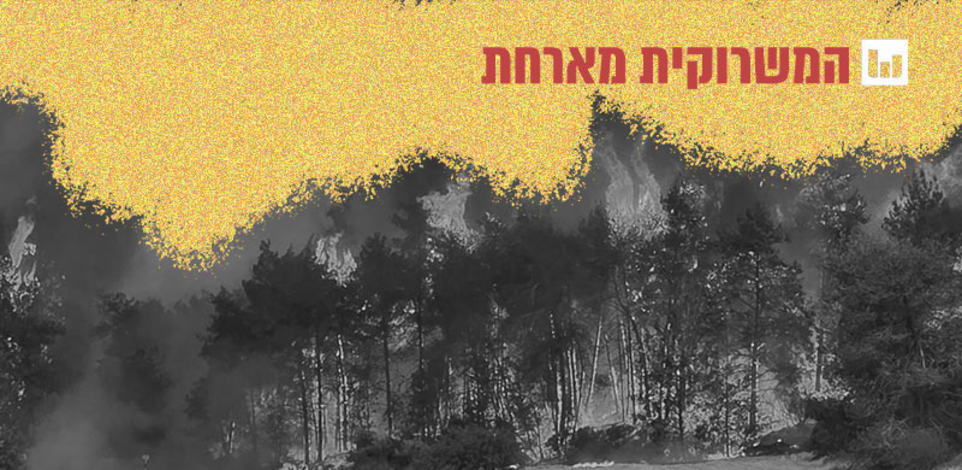 השריפות באזור הרי ירושלים / צילום: עובדי ויערני קק״ל