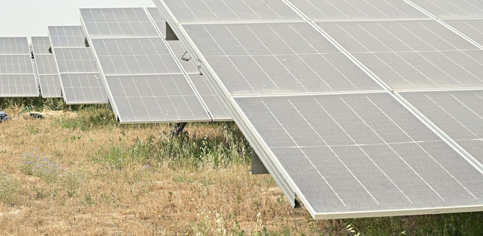 חברת דוראל / צילום: תמר מצפי