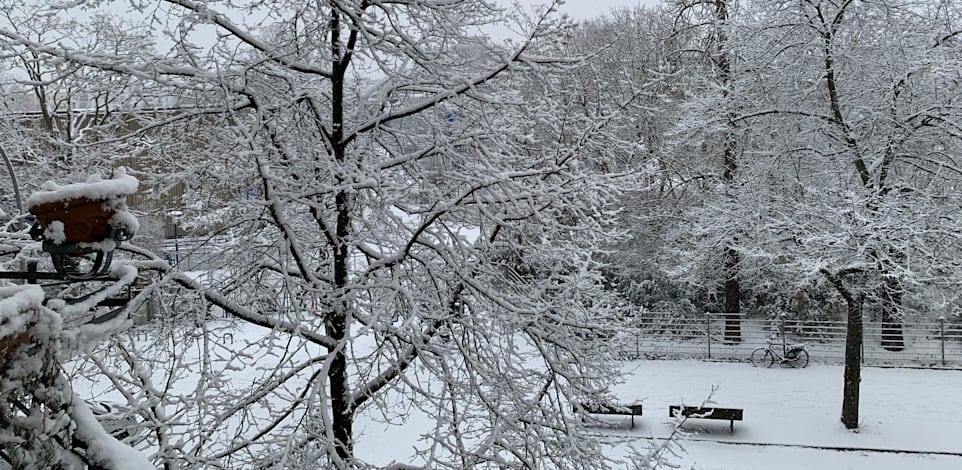 שלג בברלין, השבוע / צילום: אסף אוני