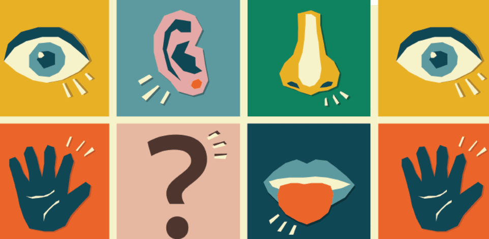 חזית המדע. איך פועל החוש השישי / צילום: Shutterstock