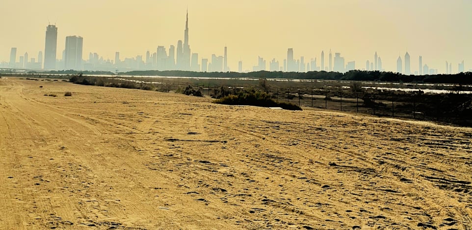 ישראל תחכיר 16 אלף דונם לארה''ב להקמת עיר טכנולוגית / אילוסטרציה: Shutterstock