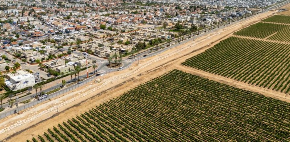 שדות בעיר אופקים / צילום: eyal tager