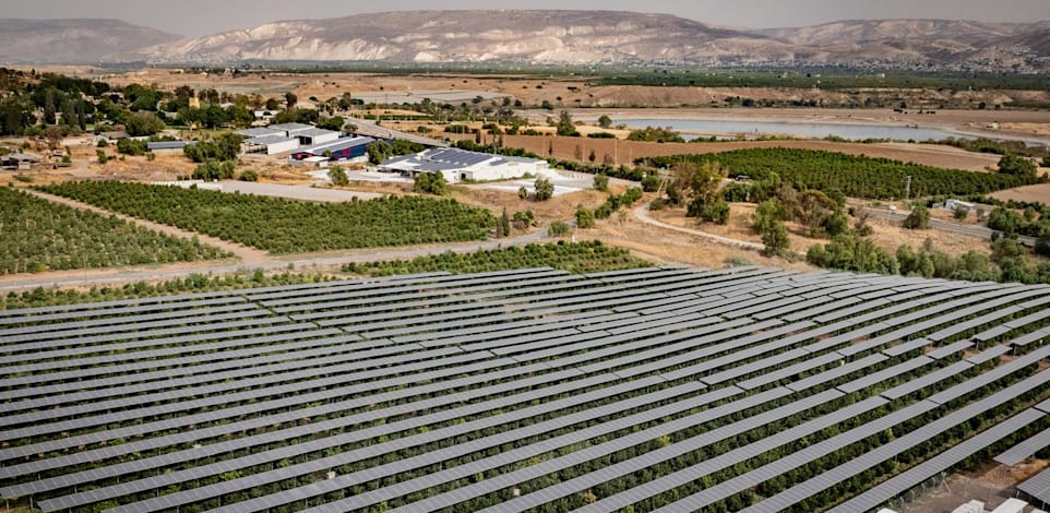 פאנלים סולאריים מעל שדה חקלאי / צילום: אמיר טרקל