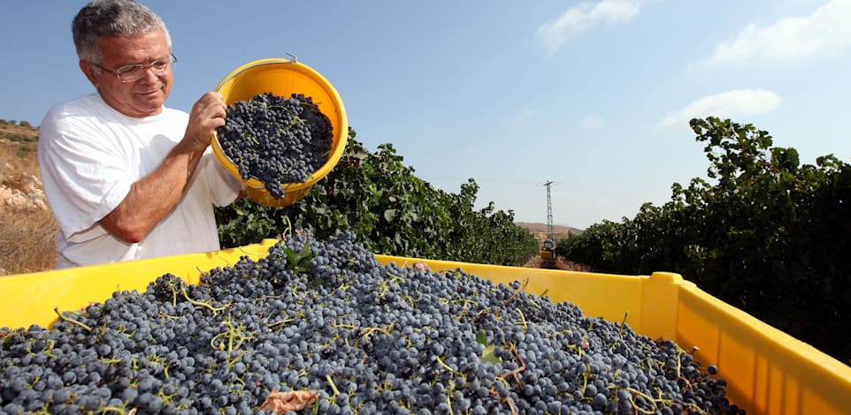 איציק כהן / צילום: נטלי שור