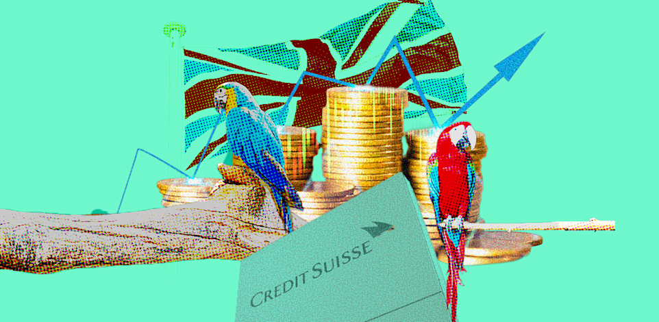 חומרים: Adobe stock, עיצוב: טלי בוגדנובסקי