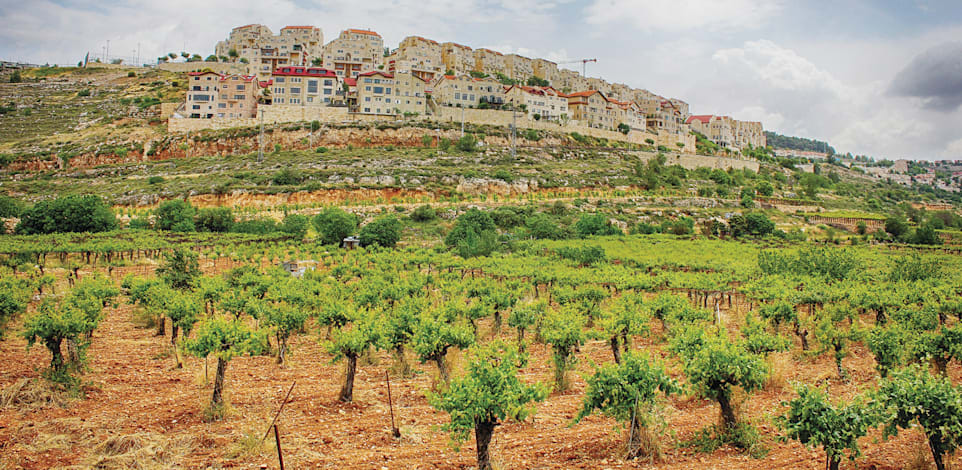 "היישוב אפרת. שווי הבית עלה ל־7 מיליון / צילום: Shutterstock"