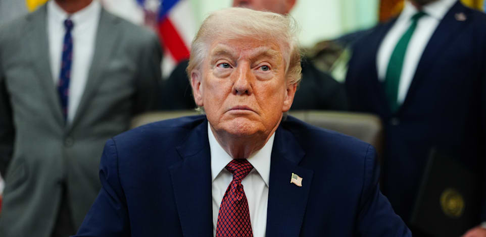 נשיא ארה''ב דונלד טראמפ / צילום: ap, Julia Demaree Nikhinson