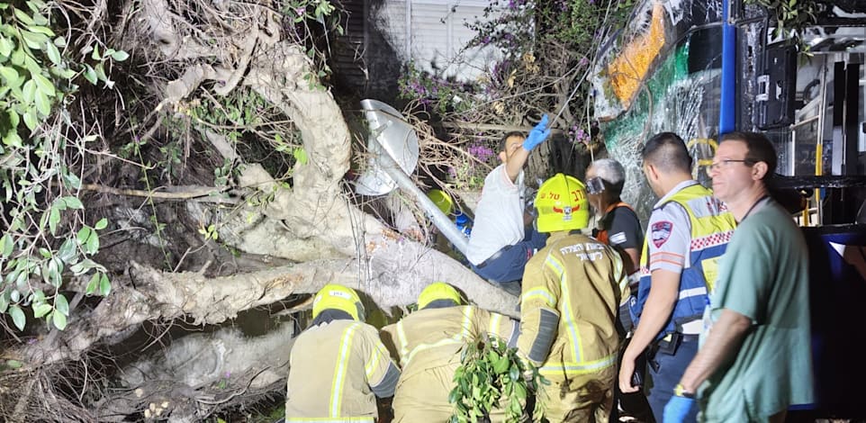 זירת התאונה בת''א / צילום: מד''א