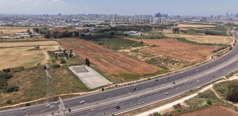 הוד השרון / צילום: Shutterstock