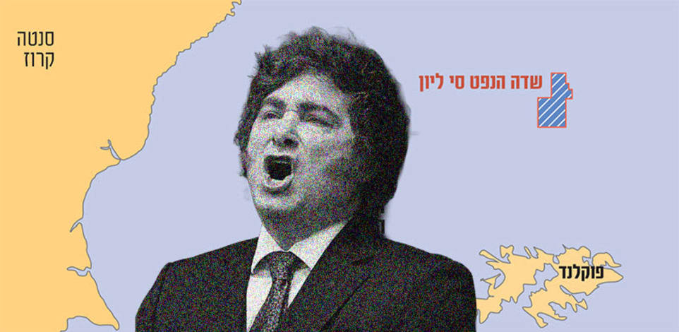נשיא ארגנטינה חאבייר מיליי / צילום: ap, Natacha Pisarenko