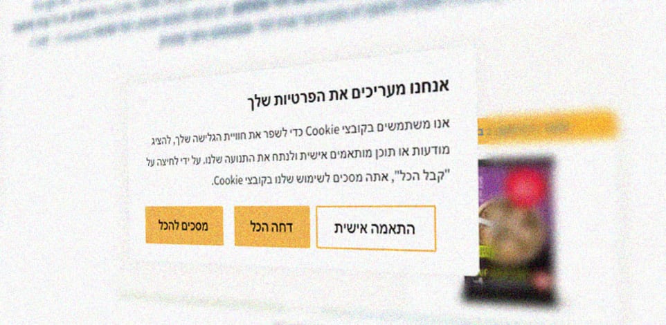 הסכמה לקבצי עוגיות / צילום: צילום מסך