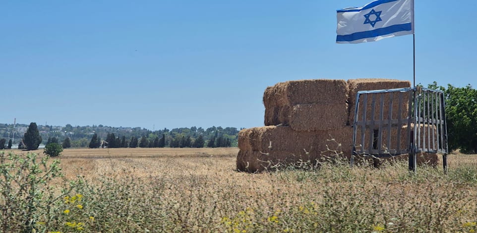 קרקע חקלאית / צילום: Shutterstock