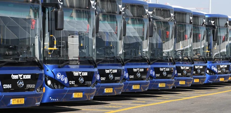 אוטובוסים חשמליים של חברת דן / צילום: דן תחבורה