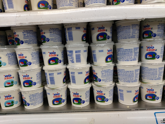 קוטג' של תנובה / צילום: גלובס