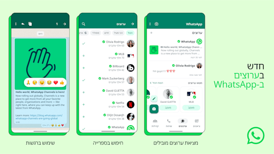 ערוצי וואטסאפ בעברית / צילום: יח''צ ערוצי וואטסאפ בעברית / צילום: יח''צ