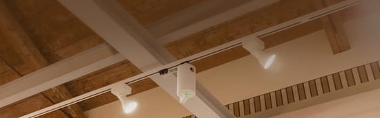 צילום: באדיבות Whitescent צילום: באדיבות Whitescent