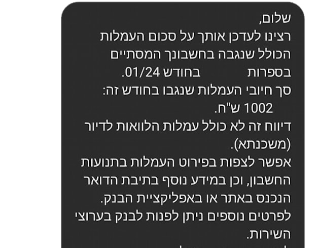 דוגמה למסרון ששולח הבנק / צילום: צילום מסך