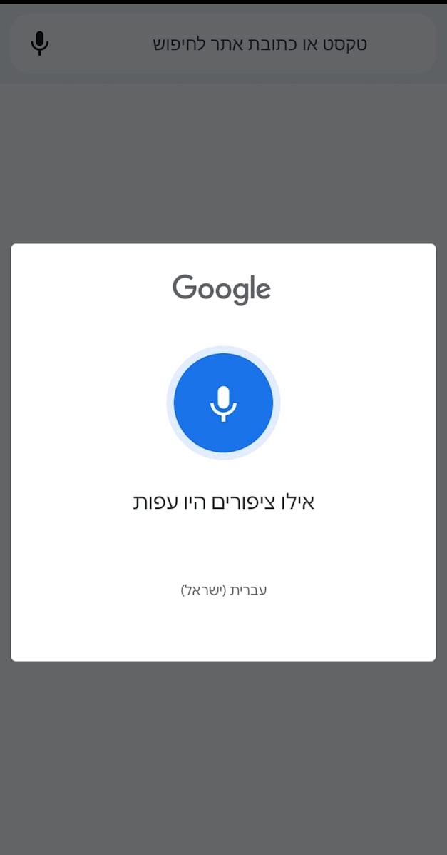 חיפוש באמצעות זיהוי קולי / צילום: צילום מסך