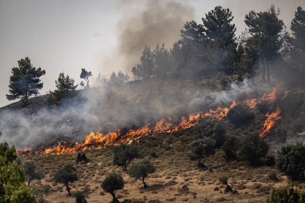אש מתלקחת בשדה. ''עד כה נשרפו 100-70 אלף דונם'' / צילום: Reuters, Mostafa Alkharouf
