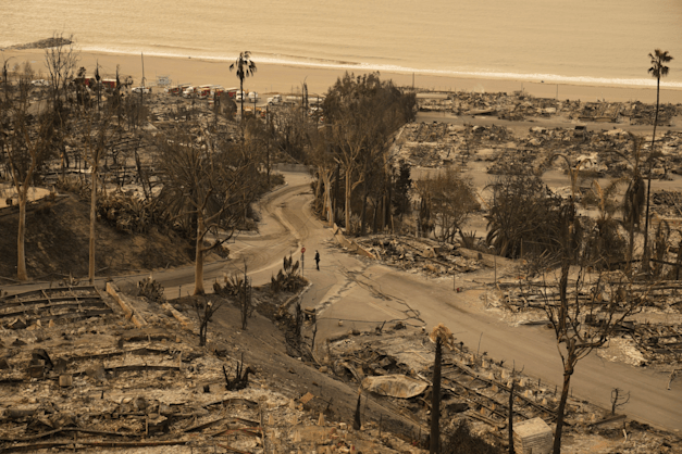הנזק שנותר מהשריפה בפליסיידס / צילום: ap, John Locher הנזק שנותר מהשריפה בפליסיידס / צילום: ap, John Locher