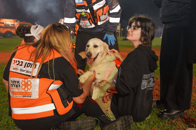 צילום: איחוד הצלה