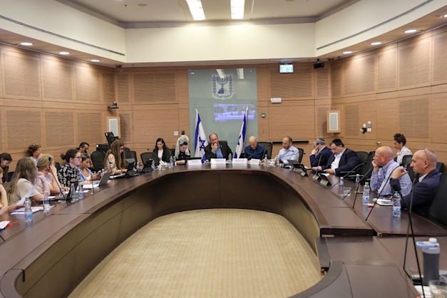 הדיון בוועדת חוקה היום / צילום: דני שם טוב, דוברות הכנסת