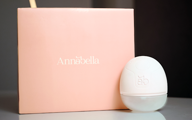 המשאבה הלבישה של אנבלה / צילום: דביר רידי