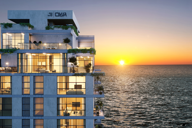 צילום: צרפתי רן