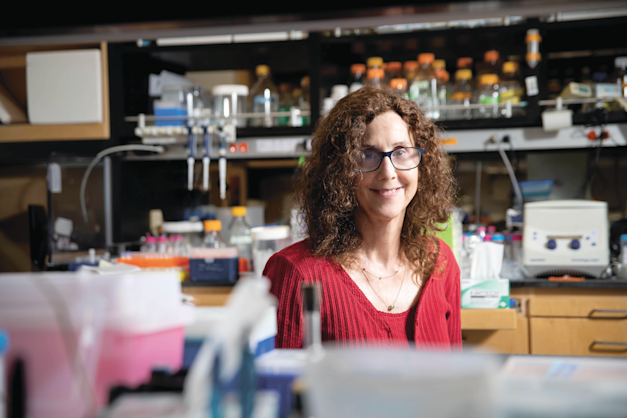 פרופ' פמלה ביורקמן / צילום: Lance Hayashida - Caltech פרופ' פמלה ביורקמן / צילום: Lance Hayashida - Caltech