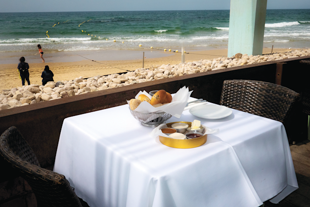 מאנטה ריי / צילום: אבי גנור