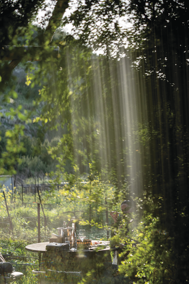 מרכז מבקרים אמפורה / צילום: אנטולי מיכאלו
