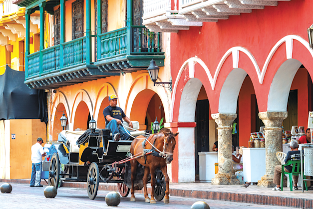 קולומביה. ייאסר השימוש בעגלות רתומות לסוסים / צילום: Reuters, Remo Casilli