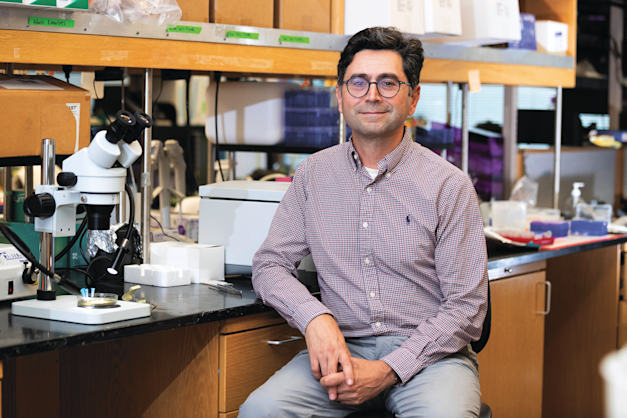 פרופ' ארדם פטפוטיאן. קיבל מענק / צילום: ap, Derrick Tuskan