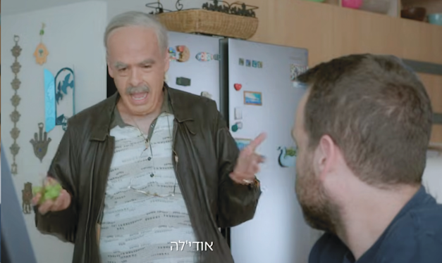 מתוך קמפיין ביטוח 9 / צילום: צילום מסך