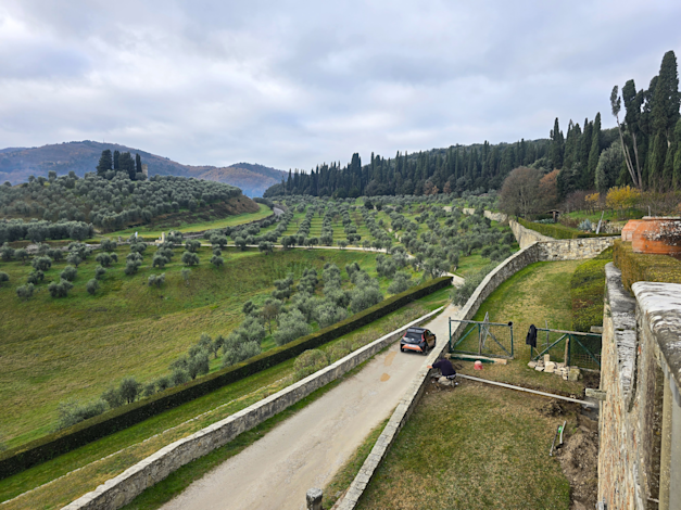 צילום: ענת דניאל