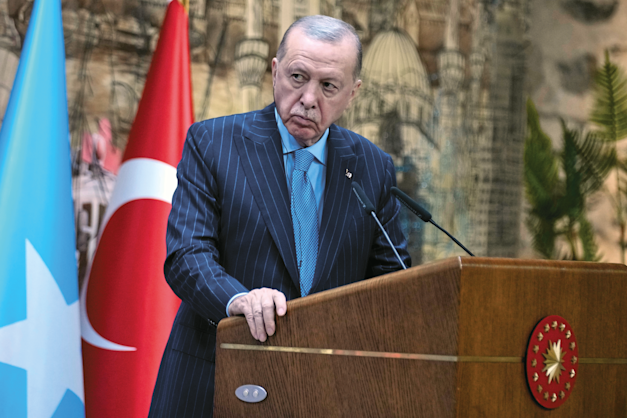 רג'פ טאיפ ארדואן, נשיא טורקיה / צילום: ap, Khalil Hamra