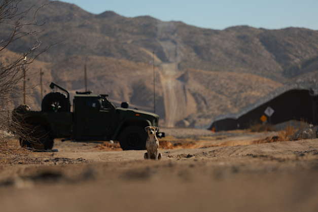 גבול ארצות הברית-מקסיקו, השבוע / צילום: Reuters, Jose Luis Gonzalez