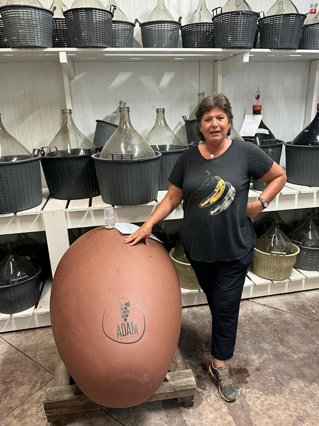 אורנה לב עם ביצת הטרקוטה שבה מתרחשת התסיסה / צילום: תמונה פרטית אורנה לב עם ביצת הטרקוטה שבה מתרחשת התסיסה / צילום: תמונה פרטית