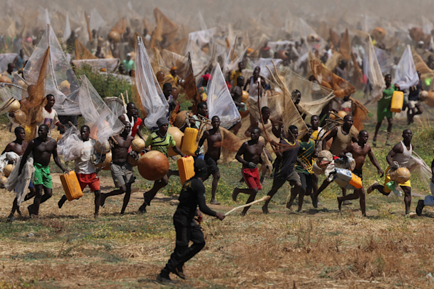 פסטיבל הדיג הבינלאומי בארגונגו, ניגריה, השבוע / צילום: Reuters, Sodiq Adelakun פסטיבל הדיג הבינלאומי בארגונגו, ניגריה, השבוע / צילום: Reuters, Sodiq Adelakun