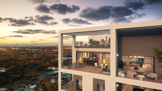 הדמיה: 3dvision