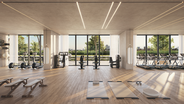 הדמיה: 3dvision