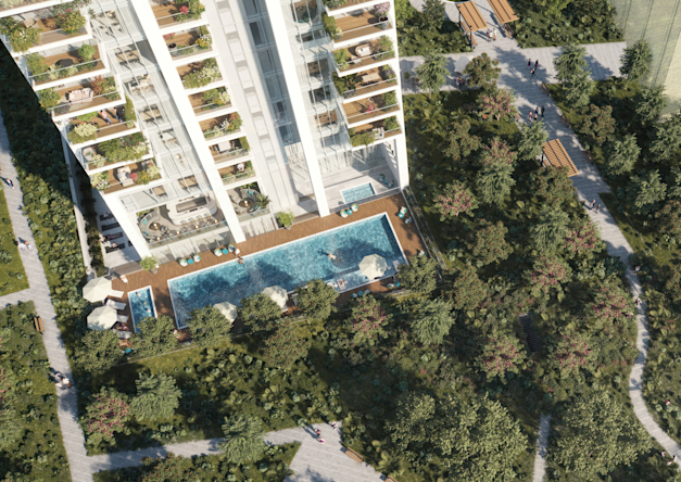 הדמיה: קבוצת חג'ג'