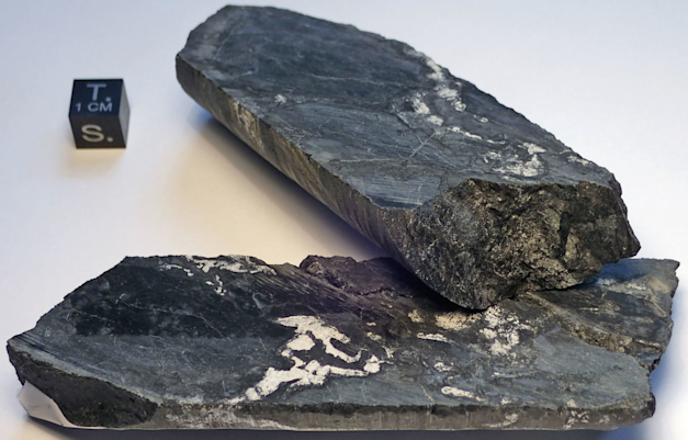 שרידים מכור אוקלו, שנתרמו  ל־Natural History Museum בווינה / צילום: אתר הסוכנות לאנרגיה אטומית