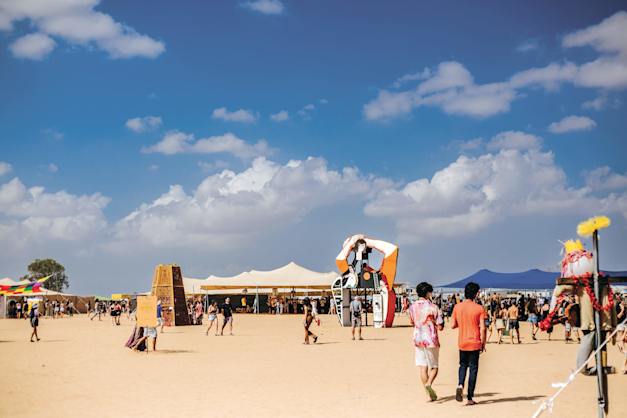 אינדנגב / צילום: מאי סביר אינדנגב / צילום: מאי סביר