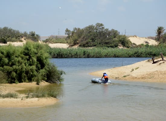 חוף זיקים / צילום: איל יצהר