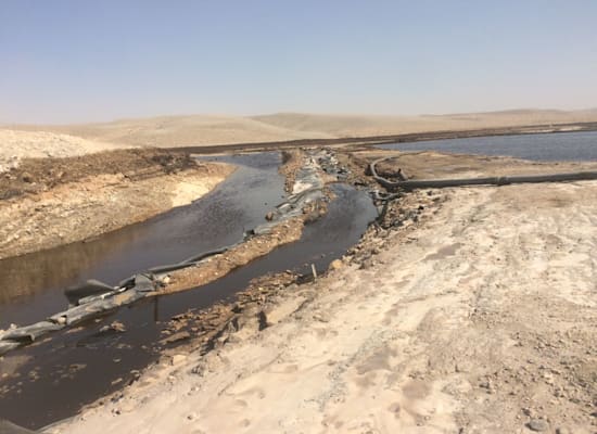 זיהום נחל אשלים בגלל דליפה ממפעל רותם אמפרט, 2017 / צילום: מארק כץ - רשות הטבע והגנים זיהום נחל אשלים בגלל דליפה ממפעל כיל רותם (רותם אמפרט), 2017 / צילום: מארק כץ - רשות הטבע והגנים