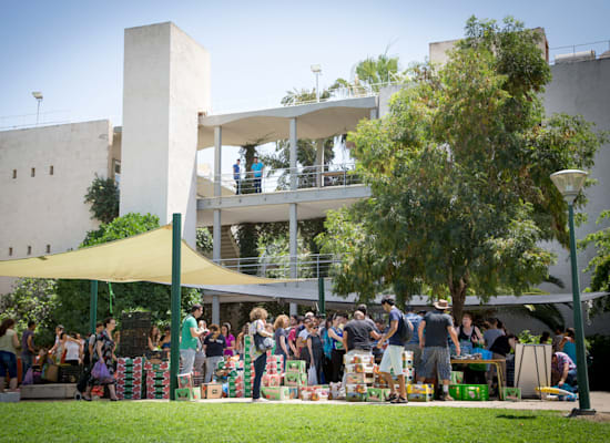 מכירת תוצרת חקלאית ישר מהשדה. לא תתפוס נתח גדול / צילום: אלון רון