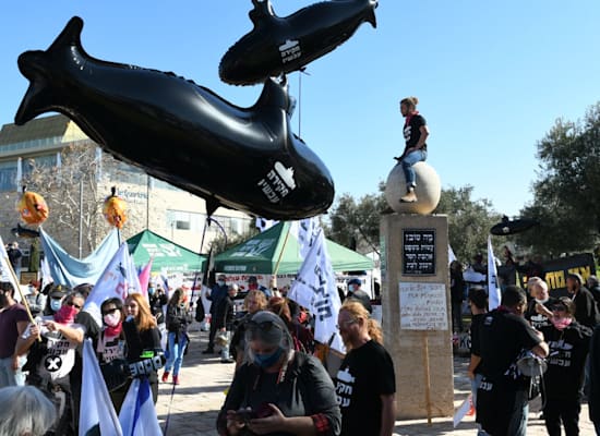 מפגינים הבוקר (ב') מחוץ לבית המשפט העליון דורשים לחקור את נתניהו על רכש הצוללות בניגוד לעמדת מערכת הביטחון / צילום: רפי קוץ