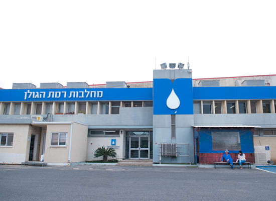 מחלבות רמת הגולן / צילום: רפי קוץ מחלבות רמת הגולן / צילום: רפי קוץ