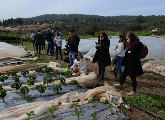 חוות קיימא, בין מושב בית־זית לשכונת עין־כרם / צילום: איל יצהר